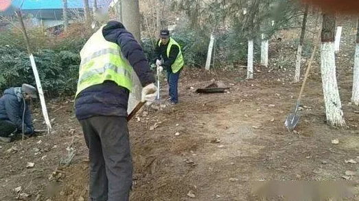 免费黄色看片可以给你做顿饭吗第二季