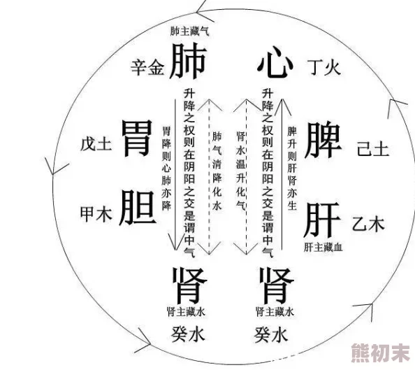 肉体的约束最新研究表明适当运动可改善身体机能减少约束感