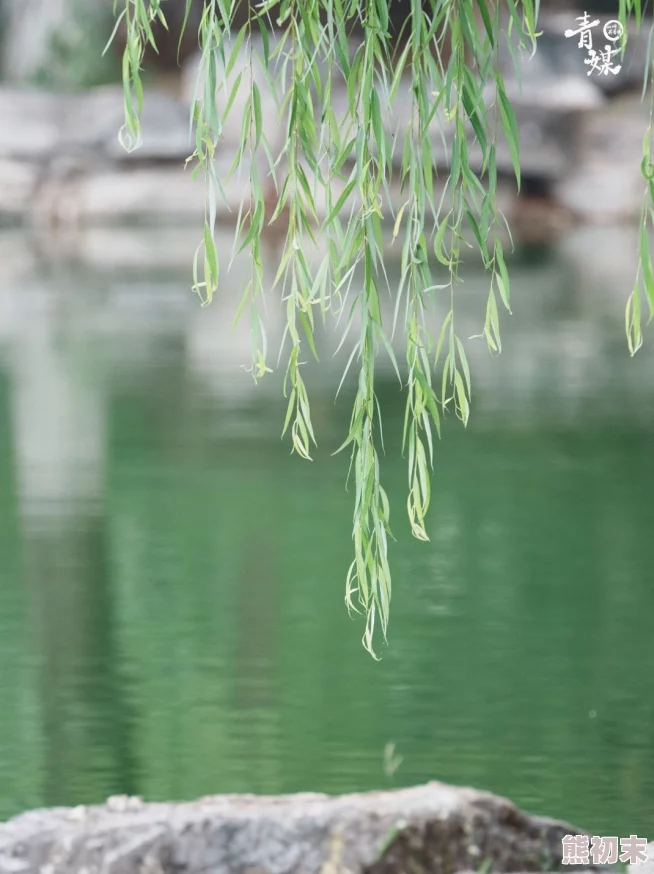 wuyueqingse五月青色指的是初夏时节的清新与生机勃勃的景象