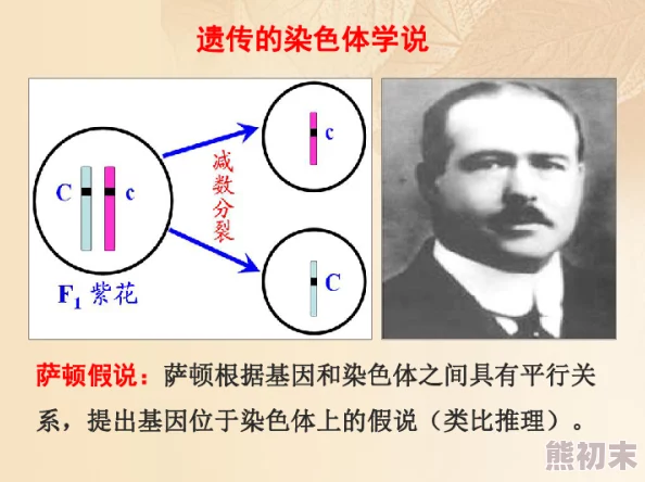 欧美人与物杂交p研究发现新型基因编辑技术显著提高杂交成功率