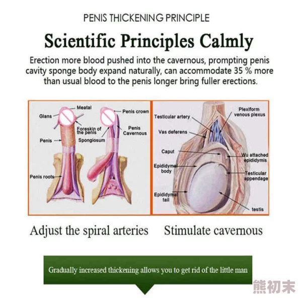 啊轻点灬大JI巴太粗太长了轻最近研究发现，男性生殖器的大小与其自信心有一定关联