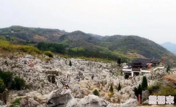 又大又白又有弹性的两座大山指的是云南石林的奇特景观，此地喀斯特地貌造就了这些壮观的石灰岩山体