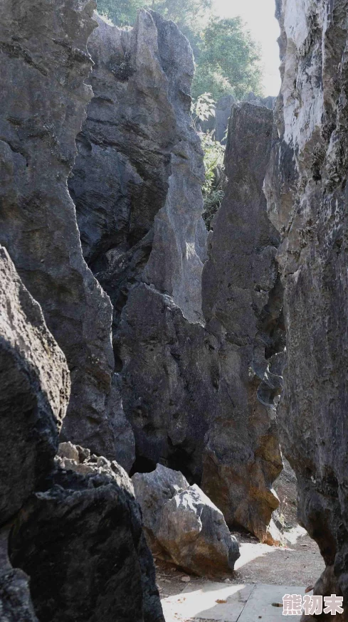 又大又白又有弹性的两座大山指的是云南石林的奇特景观，此地喀斯特地貌造就了这些壮观的石灰岩山体