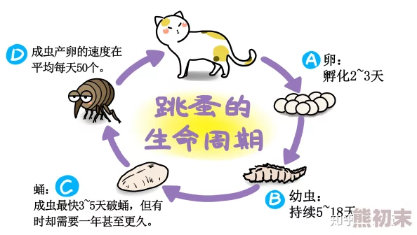 一个跳蚤的自传揭秘微小生命的宏大冒险故事