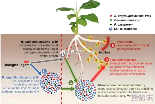 艹妹子：最新研究发现植物也能感知环境变化并作出反应