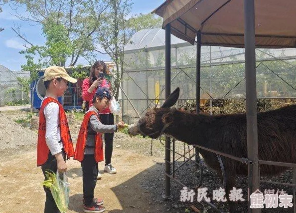 繁殖村庄村庄内新开设的生态农场吸引了众多游客前来体验农耕乐趣