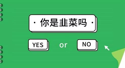 纸巾盒八部曲下载全新版本上线，新增多种主题和功能，提升用户体验