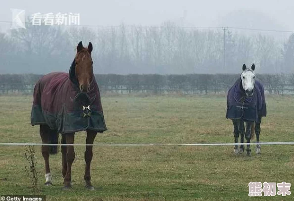 体育生沉迷警察胯下积极向上追求梦想努力锻炼提升自我实现人生价值