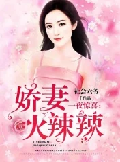 恋夜大秀一夜惊喜：陆总的闪婚甜妻携手共创美好未来勇敢追求幸福