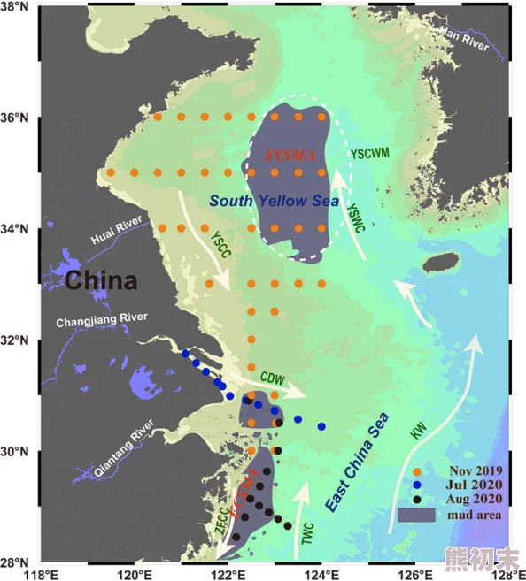 岛国一区最新海洋研究发现深海生物多样性显著增加