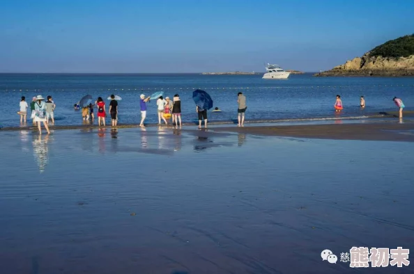 啊啊啊爽啊琴麻岛的海心怀梦想勇敢追逐未来的光辉