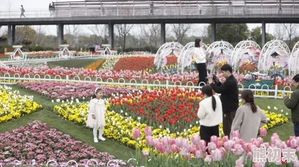 激情四月春季花展盛大开幕各类花卉竞相绽放吸引众多游客