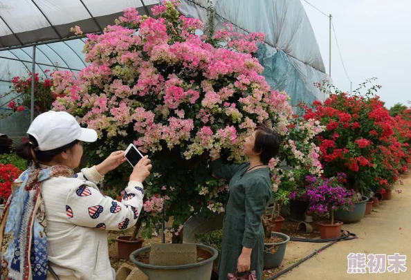 激情四月春季花展盛大开幕各类花卉竞相绽放吸引众多游客