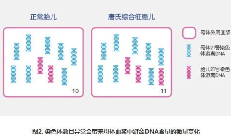 77777AAAAAA项目进展顺利核心组件测试完成即将进入下一阶段