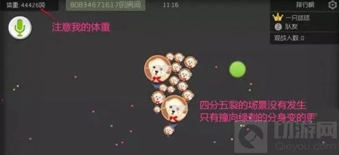 球球大作战高效能降噪功能惊喜揭秘：使用方法大分享，助你战场无声胜有声！