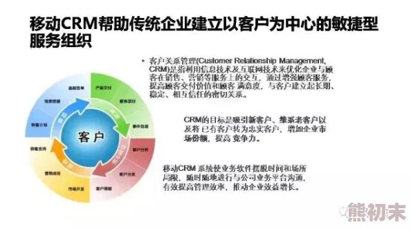 国产免费SaaS.CRM探索低成本高效客户关系管理的最佳实践