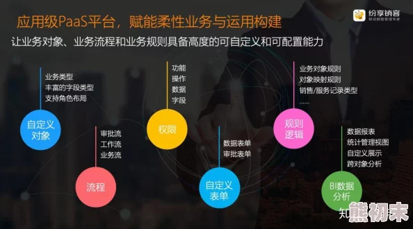 国产免费SaaS.CRM探索低成本高效客户关系管理的最佳实践