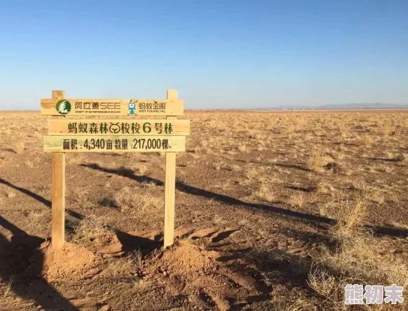 色姆姆沙漠绿化工程取得阶段性进展累计种植梭梭树超十万株有效改善当地生态环境