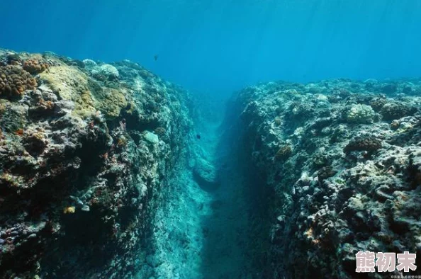 太深了慢点探索神秘海沟已潜入水下三千米遭遇未知生物