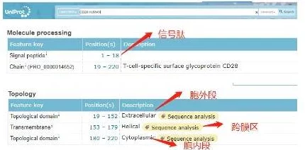 51mh网址是多少资源更新缓慢服务器维护中预计三到五个工作日恢复