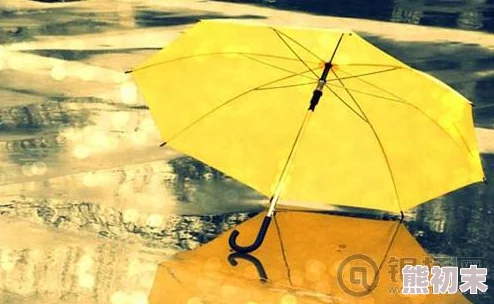 今天下雨了吗伞在门口说明今天下了雨