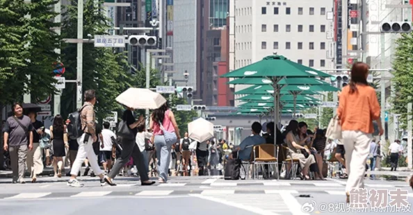 东京道一本热大交乱多名相关人员已被控制警方正在进一步调查