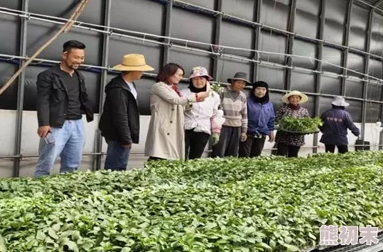 婷婷色青基地婷婷学习种植技术提高产量