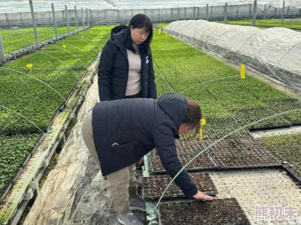 婷婷色青基地婷婷学习种植技术提高产量