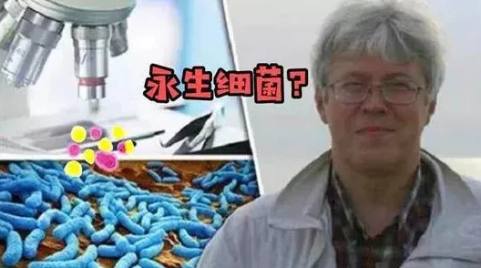 啊啊啊舔我近日科学家发现一种新型细菌能够在极端环境中生存并具有潜在的应用价值