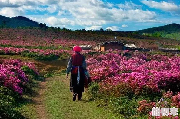 和平精英奇幻大乱斗玩法揭秘：全新爆料，大乱斗模式详细介绍