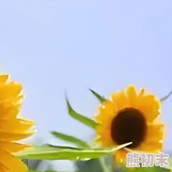 小玲和公第21章生活中总有阳光照耀我们前行的路，保持积极心态，勇敢追梦