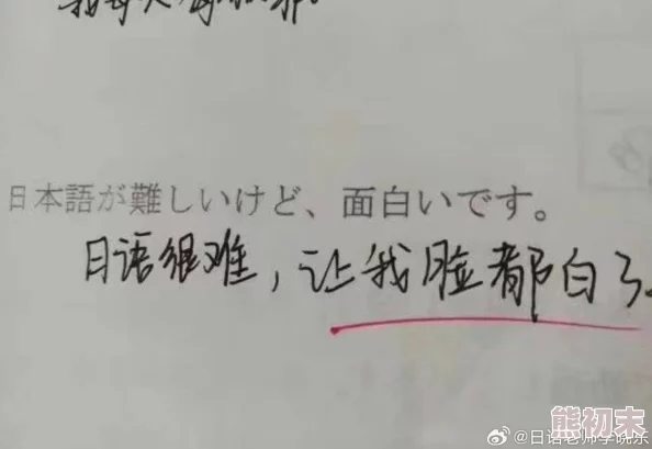 不是母亲的话就不行日语翻译找到了可靠翻译版本正在学习中