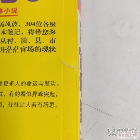 侯卫东官场笔记txt下载素媛让爱与希望照亮每一个角落，勇敢面对生活的挑战