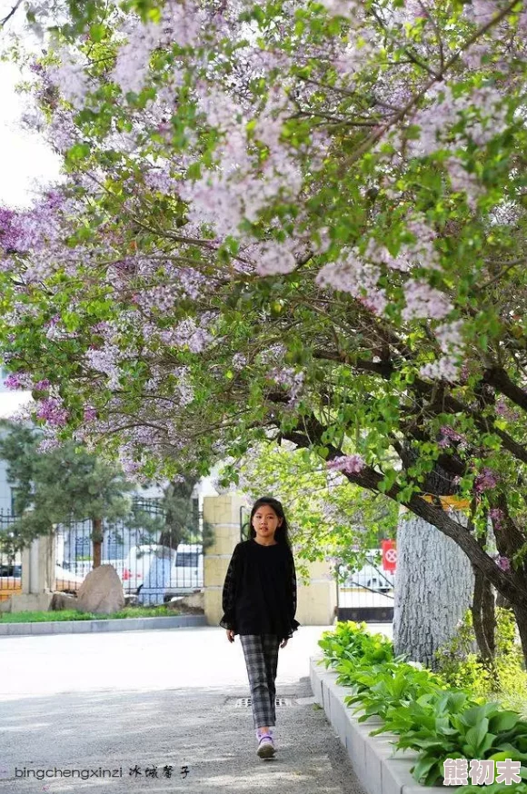 五月婷婷丁香花五月天丁香花开满五月