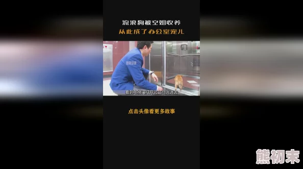 东北丝语顶级完整享受版完整内容现已解锁极致体验