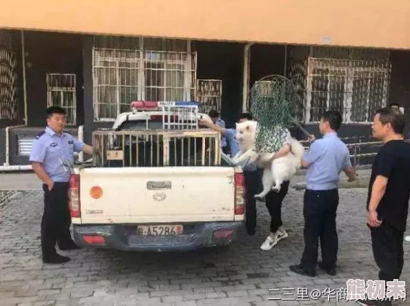 两只藏獒同时进我身体h后续情节已被和谐处理，请勿传播