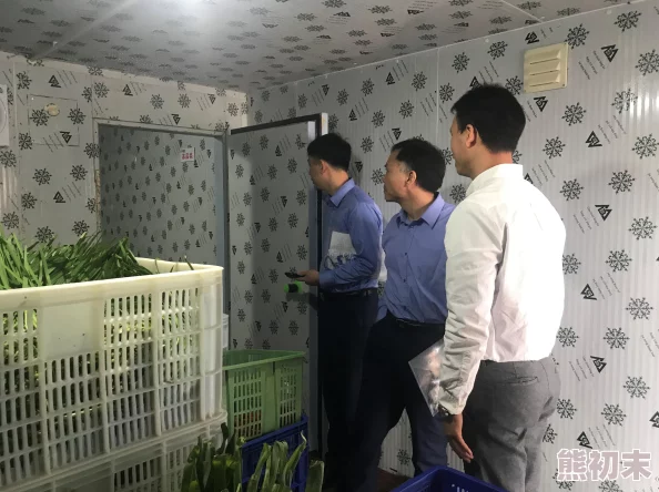 DNF强化首饰攻略：揭秘哪些首饰更值得强化提升战力