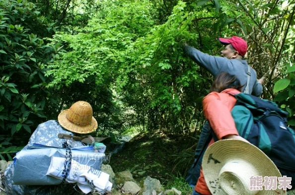 野外Chinese老妇videos据说深山采药意外发现珍稀草药引众人围观