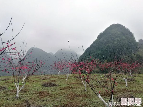 梦想桃源职业技能大揭秘：独家爆料热门岗位与高薪技能详解