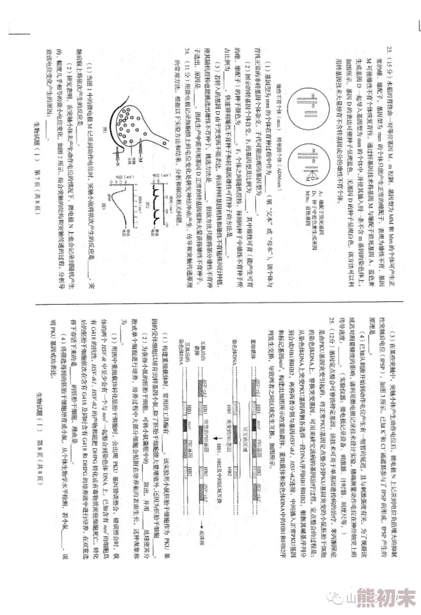 白少洁在线阅读全文原文老四据传已改名移居海外生活低调