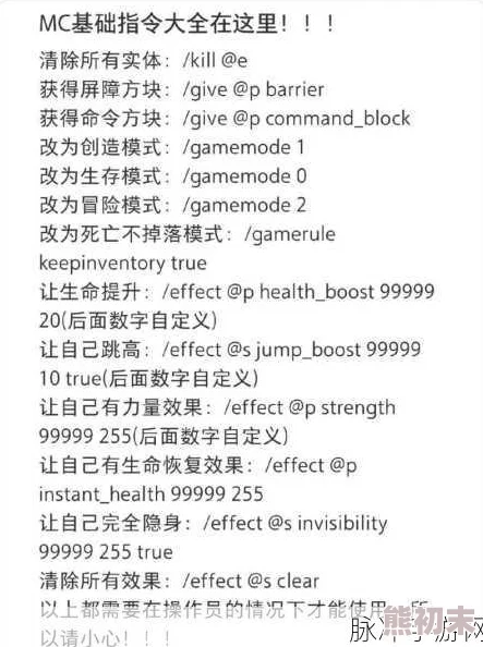 《我的世界》指令输入方法及爆料：全面解析与常用代码