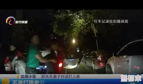 深夜福利网站老司机深夜必备资源丰富