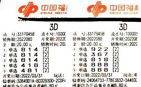 3d精华布衣1234最新正版布衣听说有人中了大奖奖金都用来买房了