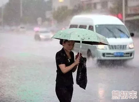 雨天带刀不带伞知情人爆料当事人曾是某神秘组织成员酷爱雨中练刀