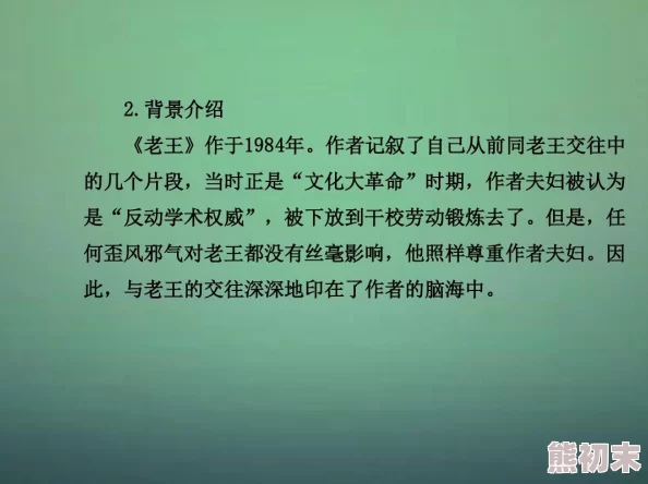 老王小说情节跌宕起伏文笔流畅引人入胜