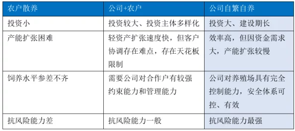 诺亚动物诊所病历记录簿招募兽医助理实习生提供实践机会