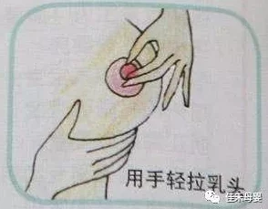 调教双乳玉势揉捏h捆绑小说