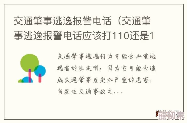 接电话时故意加速撞击警方已介入调查事故原因正在进一步核实