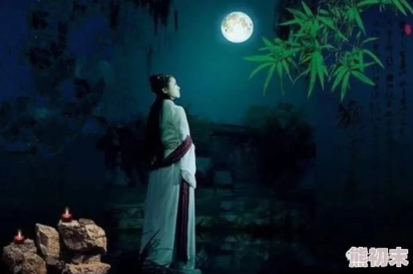 如珠似玉月下蝶影终究是一场虚幻泡影徒留凄凉