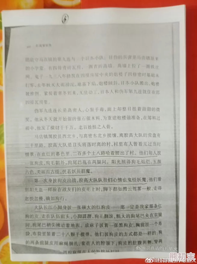 情趣用品小说尺度大胆引人遐想引发网友热议剧情设定新颖